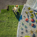 Landscaping – More Than Just Curb Appeal